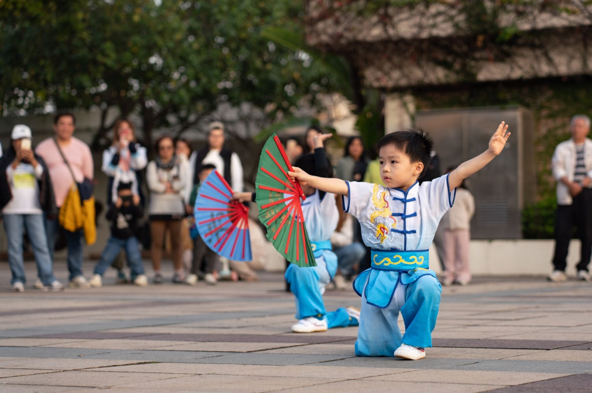 Kung Fu Dancing 🥋