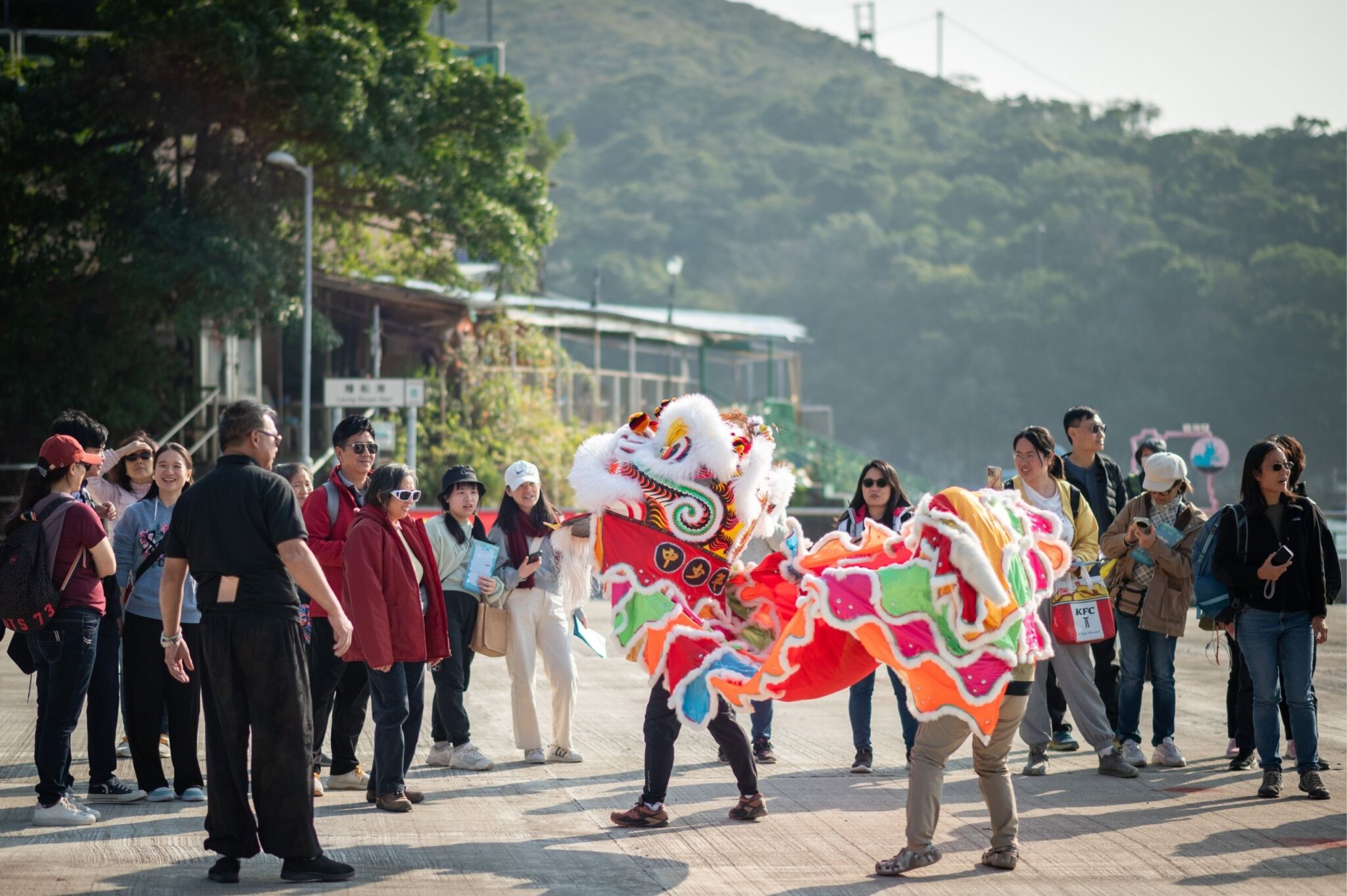 Lion Dance Experience