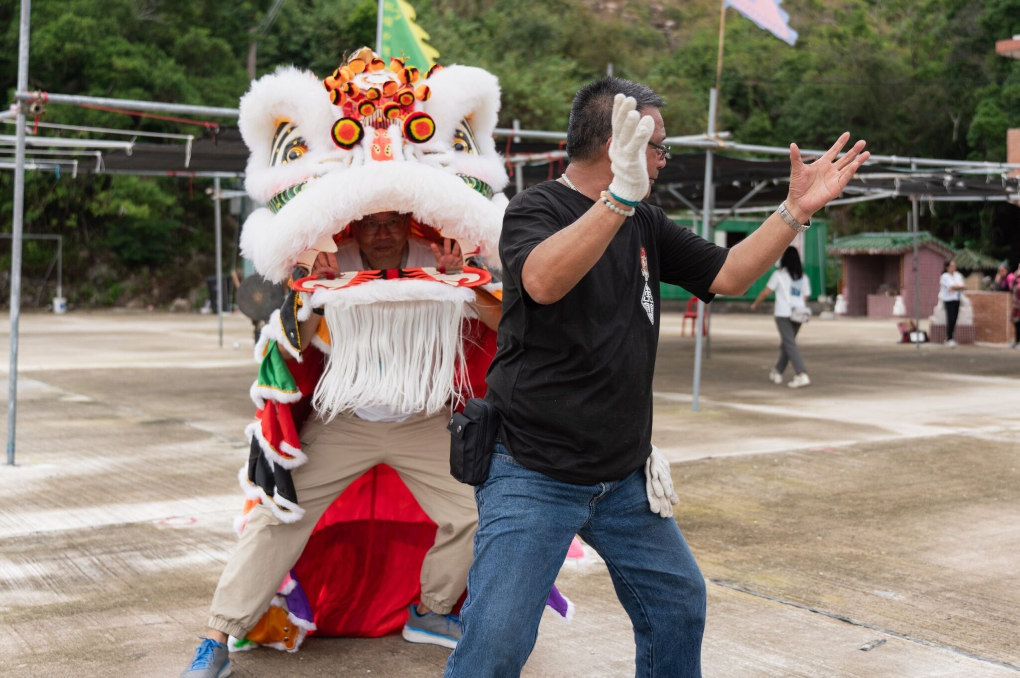 Lion Dance Experience