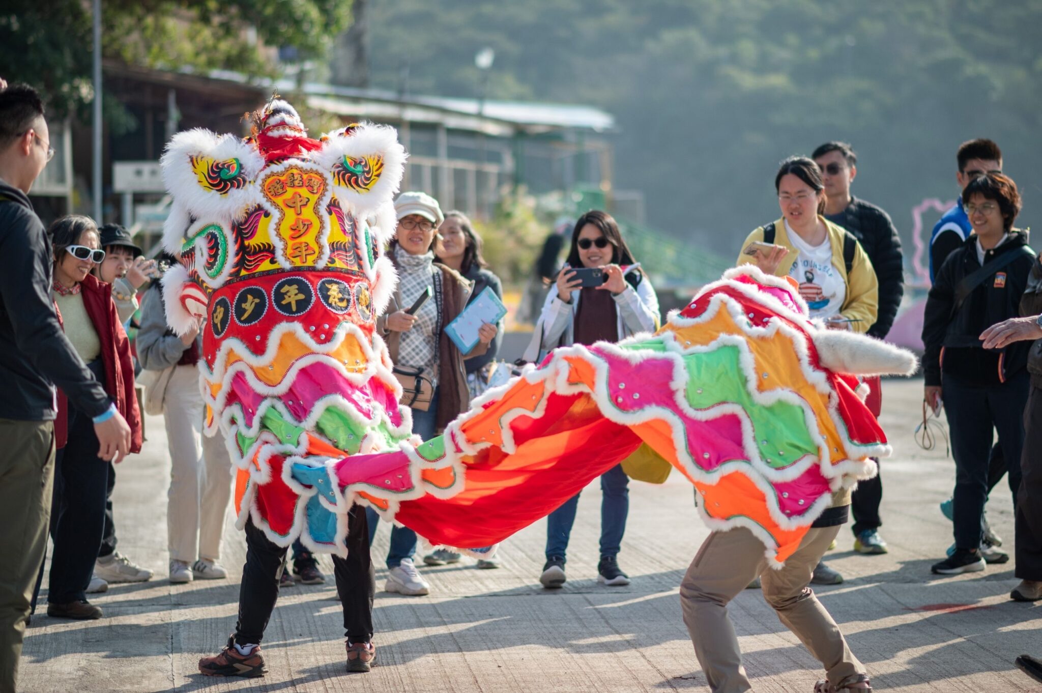 Lion Dance Experience